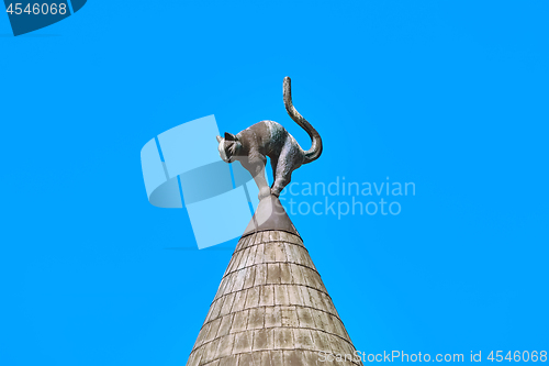 Image of Cat on the Top of a Roof