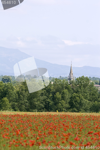 Image of red poppies growing in field early summer France