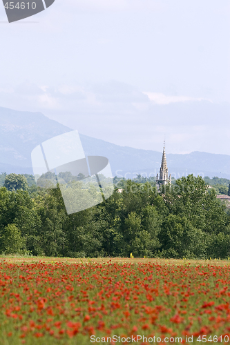 Image of red poppies growing in field early summer France