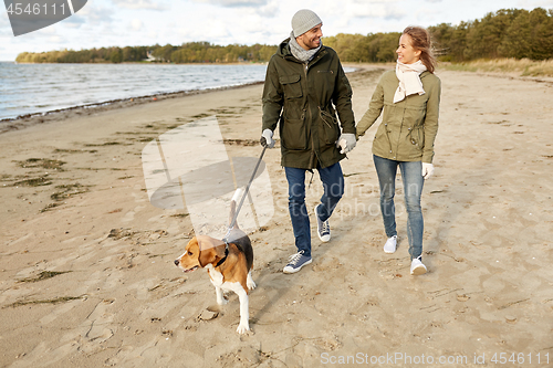 Image of happy couple with beagle dog on autumn beach