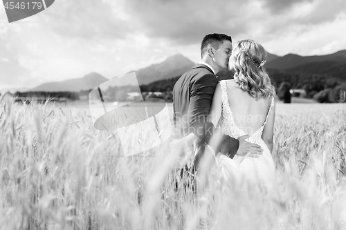 Image of Bride and groom kissing and hugging tenderly in wheat field somewhere in Slovenian countryside.