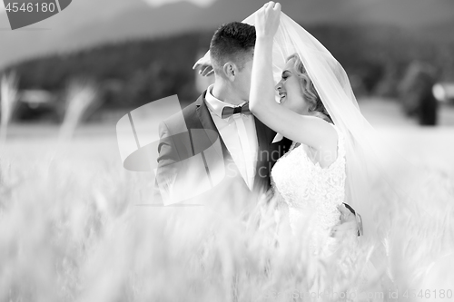 Image of Groom hugs bride tenderly while wind blows her veil in wheat field somewhere in Slovenian countryside.