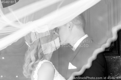 Image of Bride and groom kisses tenderly in the shadow of a flying veil. Artistic black and white wedding photo.