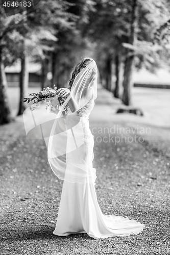 Image of Full length portrait of beautiful sensual young blond bride in long white wedding dress and veil, holding bouquet outdoors in natural background.