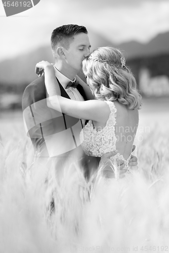 Image of Groom hugging bride tenderly and kisses her on forehead in wheat field somewhere in Slovenian countryside.
