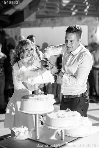 Image of Happy bride and groom cut the wedding cake.