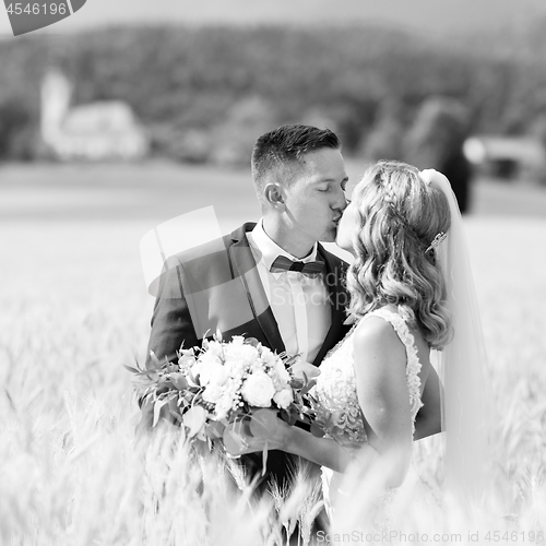 Image of Bride and groom kissing and hugging tenderly in wheat field somewhere in Slovenian countryside.