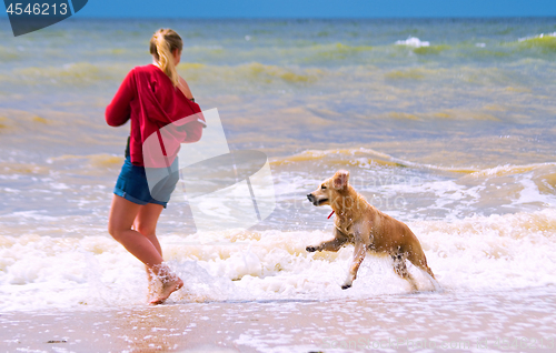 Image of A girl with a dog 