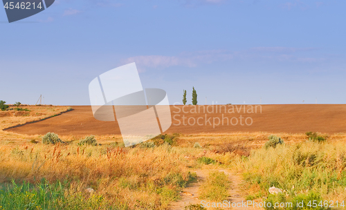 Image of summer landscape