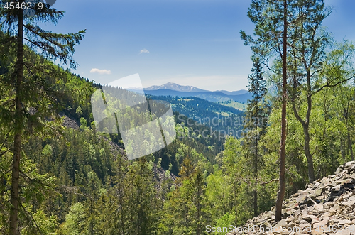 Image of Carpathian Mountains