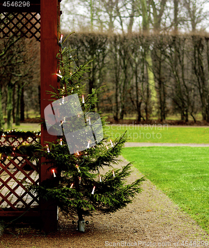 Image of Christmas Tree with Lights waiting for Holidays