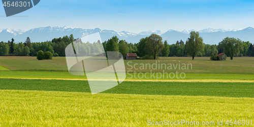 Image of Panoramic scenic Alpine view with fresh spring meadows and snowy