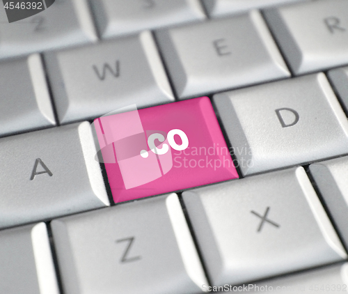 Image of The .co domain name