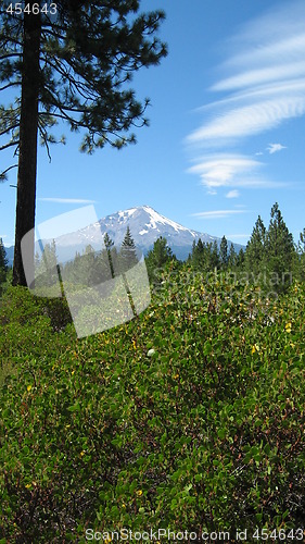 Image of Mountain Landscape