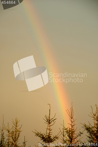 Image of rainbow