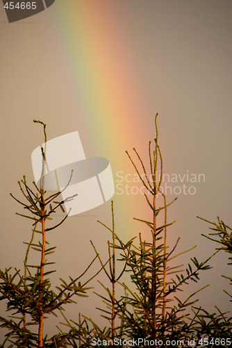 Image of rainbow