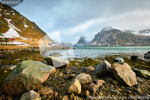 Image of Red rorbu house and fjord in Norway