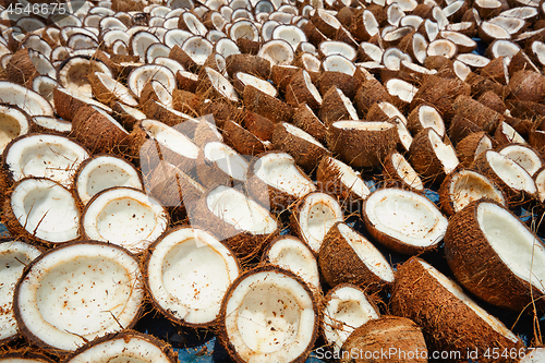 Image of Drying coconuts, Kerala, South India