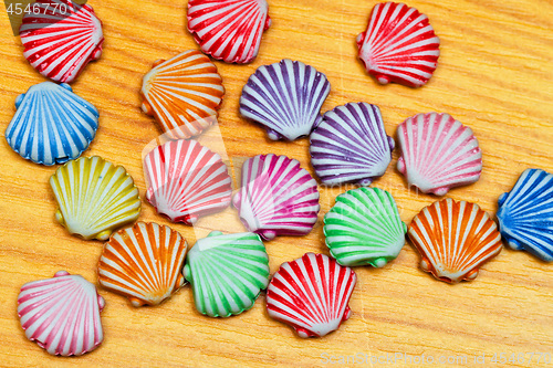 Image of Colour Shells