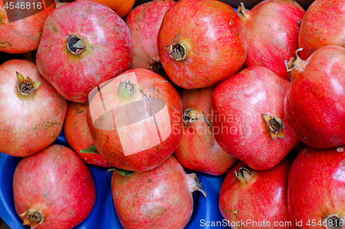 Image of Pomegranate