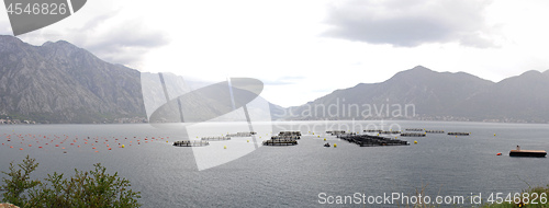 Image of Fish Farming Montenegro