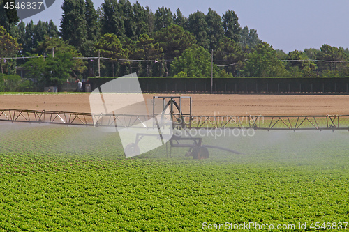 Image of Water Irrigation