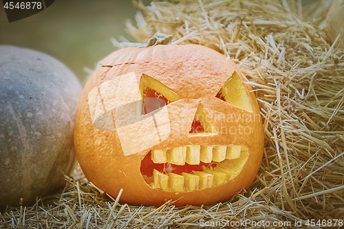 Image of Pumpkin on a Hay