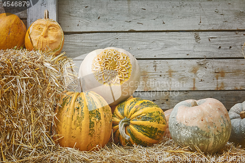 Image of Pumpkins on a Hay