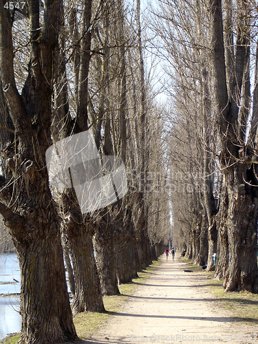 Image of Park
