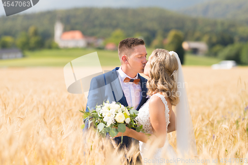 Image of Bride and groom kissing and hugging tenderly in wheat field somewhere in Slovenian countryside.