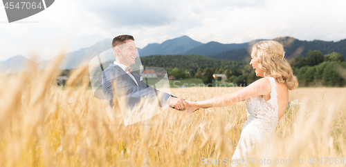 Image of Groom and bride holding hands in wheat field somewhere in Slovenian countryside.