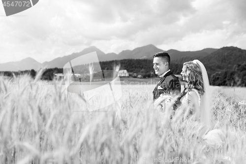 Image of Bride hugs groom tenderly in wheat field somewhere in Slovenian countryside.