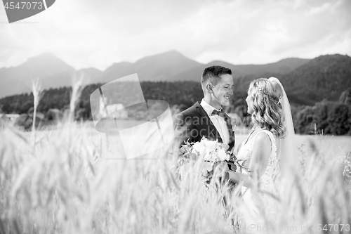 Image of Groom hugs bride tenderly in wheat field somewhere in Slovenian countryside.