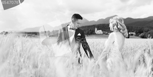 Image of Groom and bride holding hands in wheat field somewhere in Slovenian countryside.