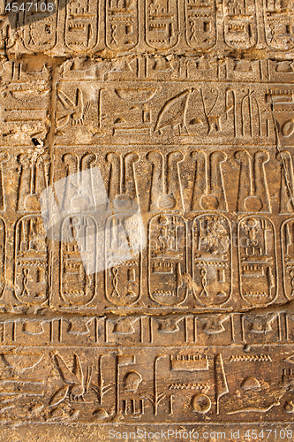 Image of Ancient Egyptian hieroglyphs, background, texture