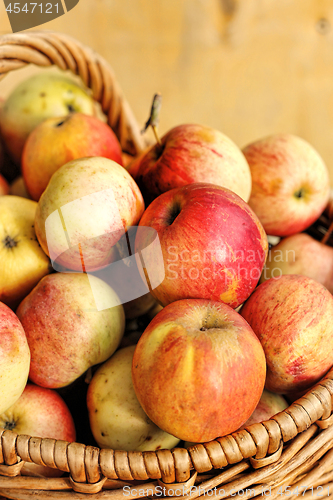 Image of Bright tasty ripe apples in a basket