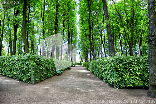 Image of Summer Garden, Saint Petersburg