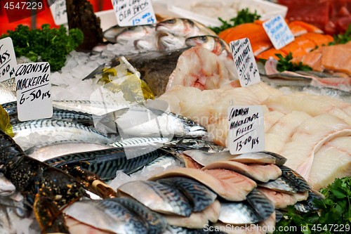 Image of Fish Assortment