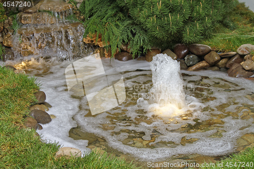 Image of Garden Pond