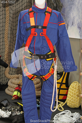 Image of Safety Harness