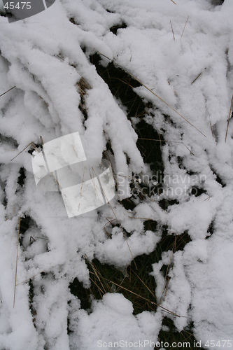 Image of The first snow