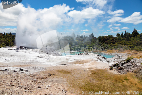 Image of Geyser in New Zealand Rotorua