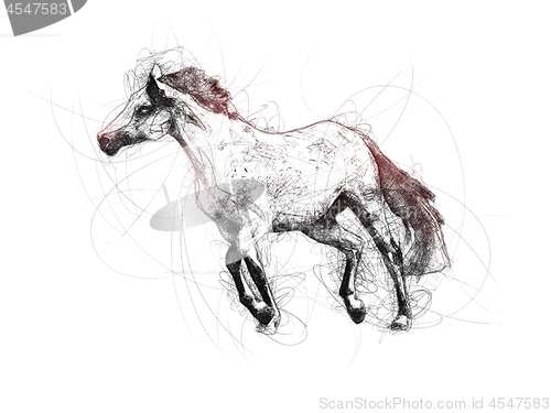 Image of Great Horse Ballpoint Pen Doodle Illustration