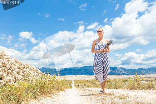 Image of Caucasian young woman in summer dress holding bouquet of lavender flowers while walking outdoor through dry rocky Mediterranean Croatian coast lanscape on Pag island in summertime