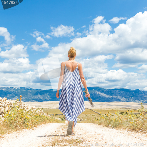 Image of Rear view of woman in summer dress holding bouquet of lavender flowers while walking outdoor through dry rocky Mediterranean Croatian coast lanscape on Pag island in summertime