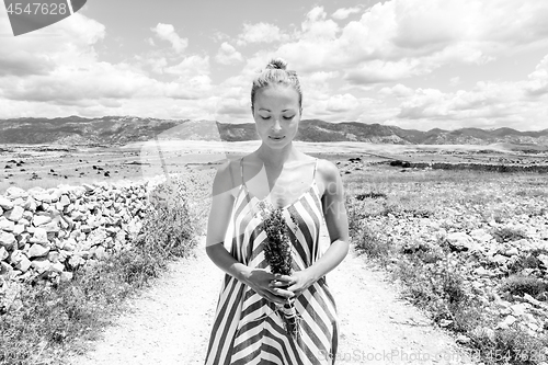 Image of Caucasian young woman in summer dress holding bouquet of lavender flowers enjoying pure Mediterranean nature at rocky Croatian coast lanscape on Pag island in summertime