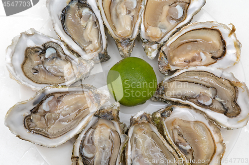 Image of Oysters Delicacy
