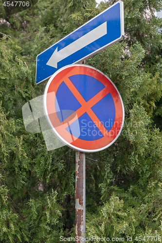 Image of Overgrown Traffic Sign