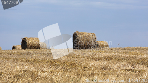 Image of Hay Bales