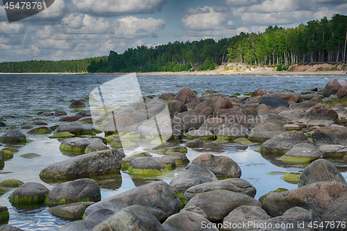 Image of Baltic sea coast in summer vacation